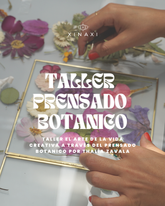 Taller de Prensado Botánico